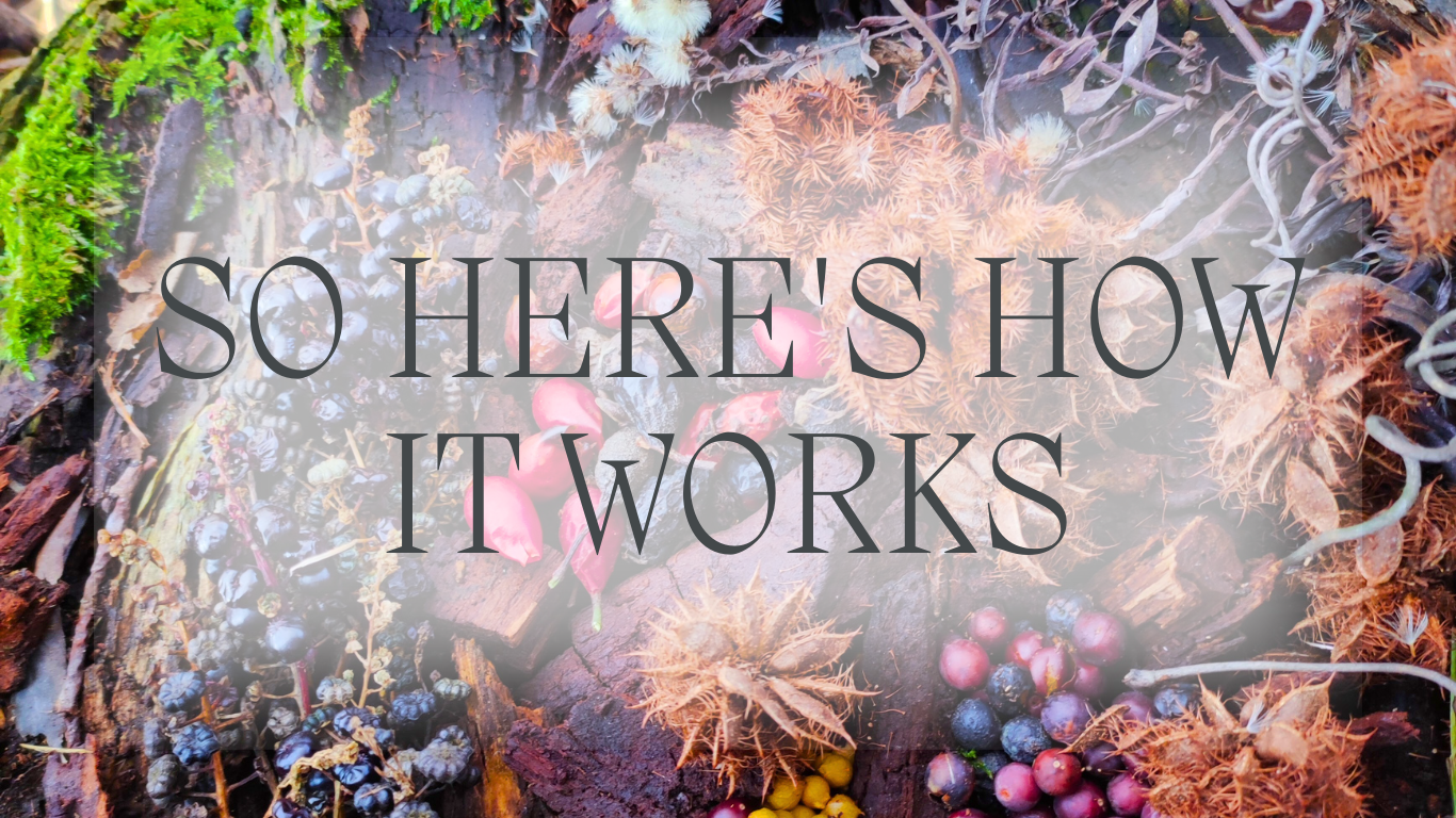 Super-Charge Your Content