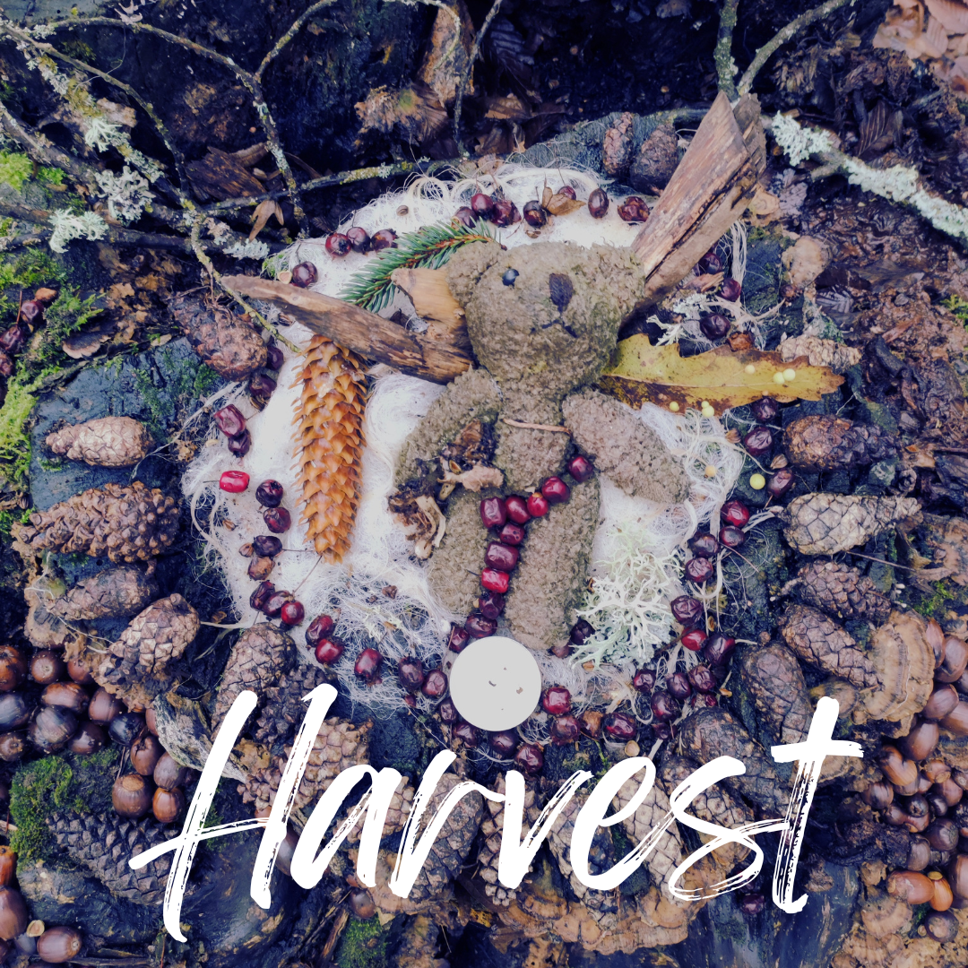 harvest